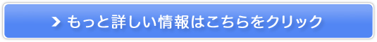 sYSۃWFCGtV[(iebj̔TCg
